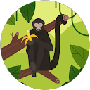 Kimberly Tautenhahn profile picture